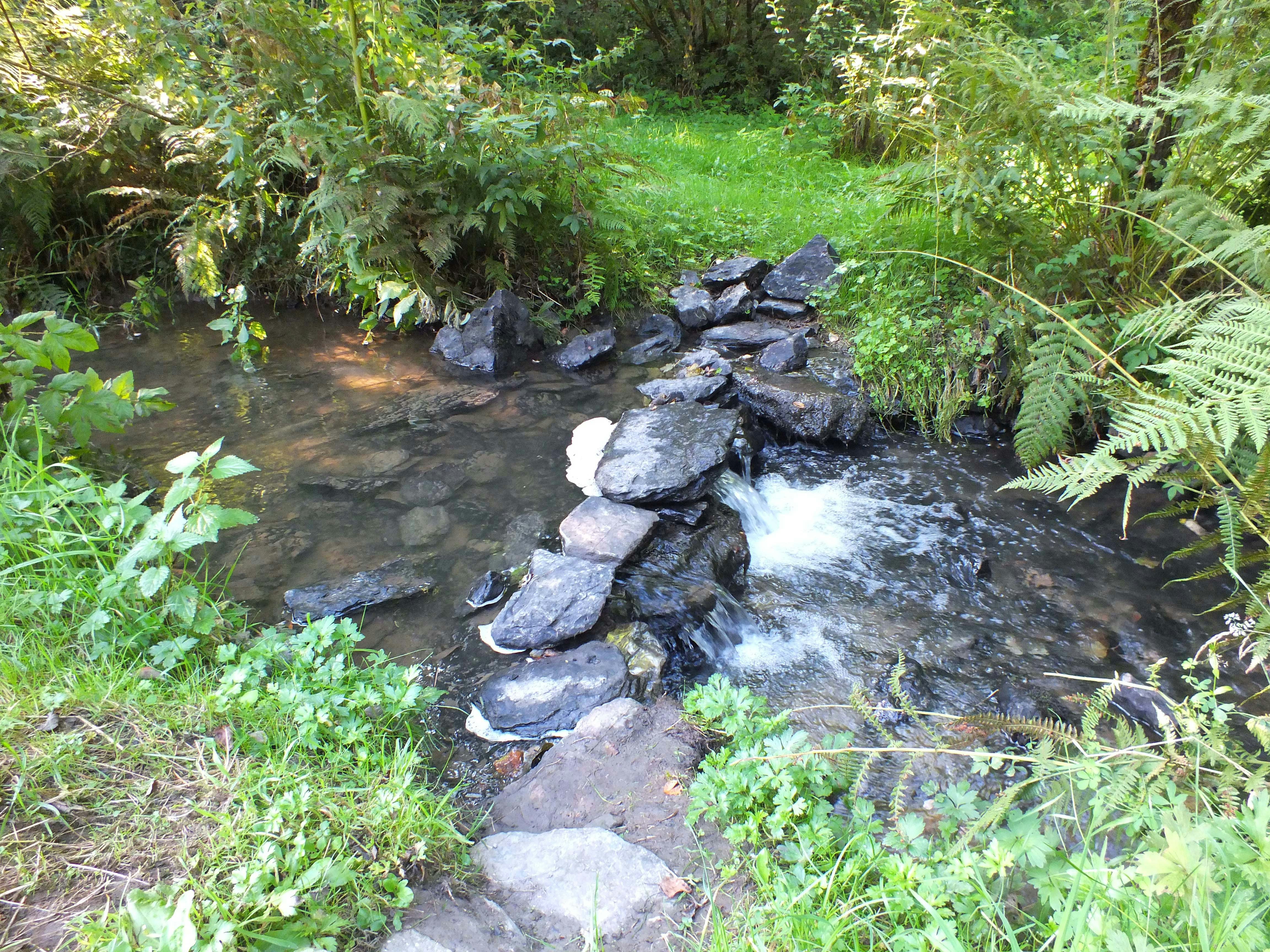 Camping TroDoWay - Kleiner Bach am Campingplatz