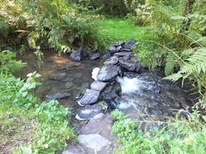 Camping TroDoWay - Kleiner Bach am Campingplatz