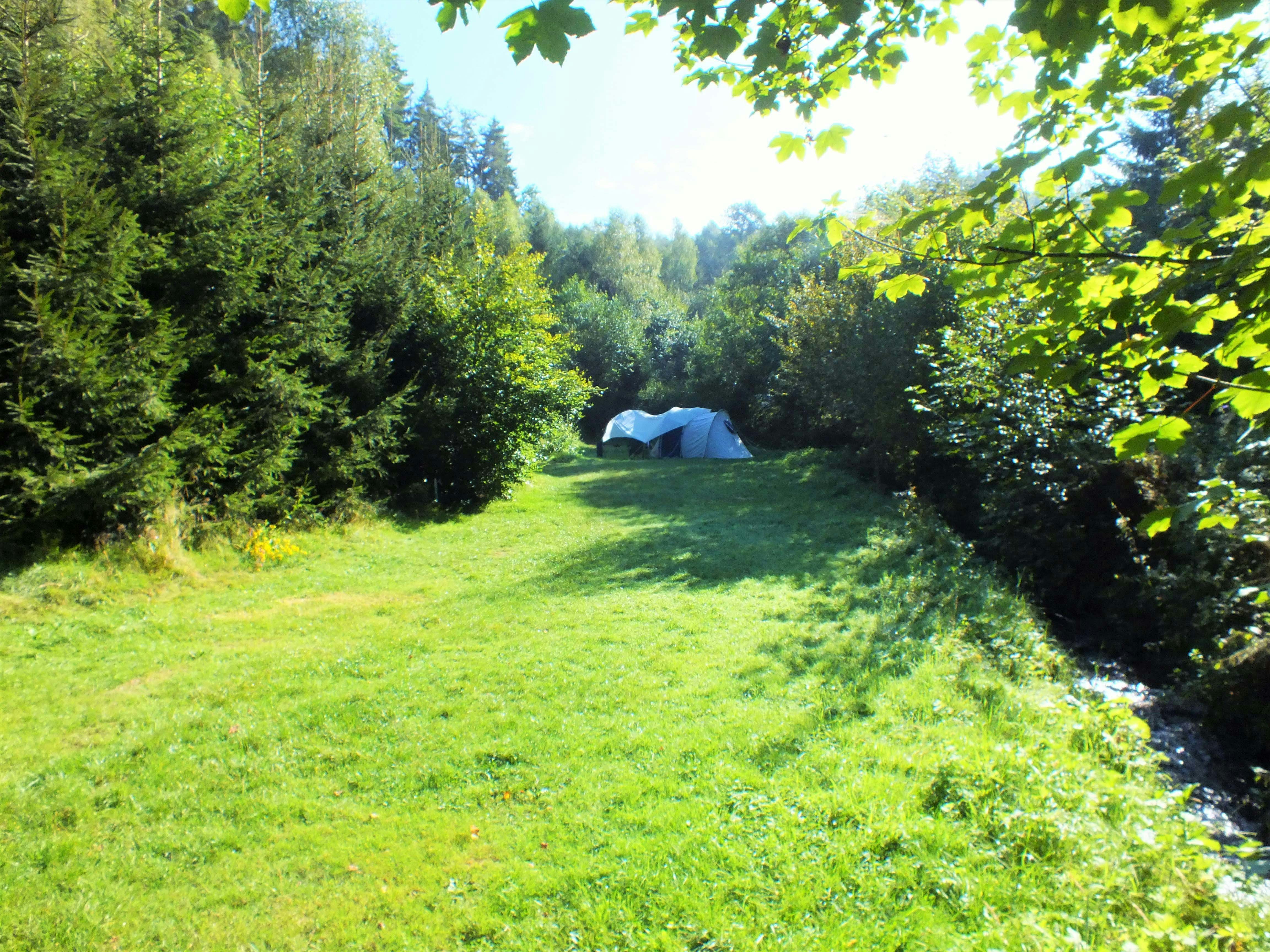 Camping TroDoWay - Zeltplatz umgeben von Bäumen