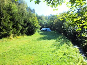 Camping TroDoWay - Zeltplatz umgeben von Bäumen