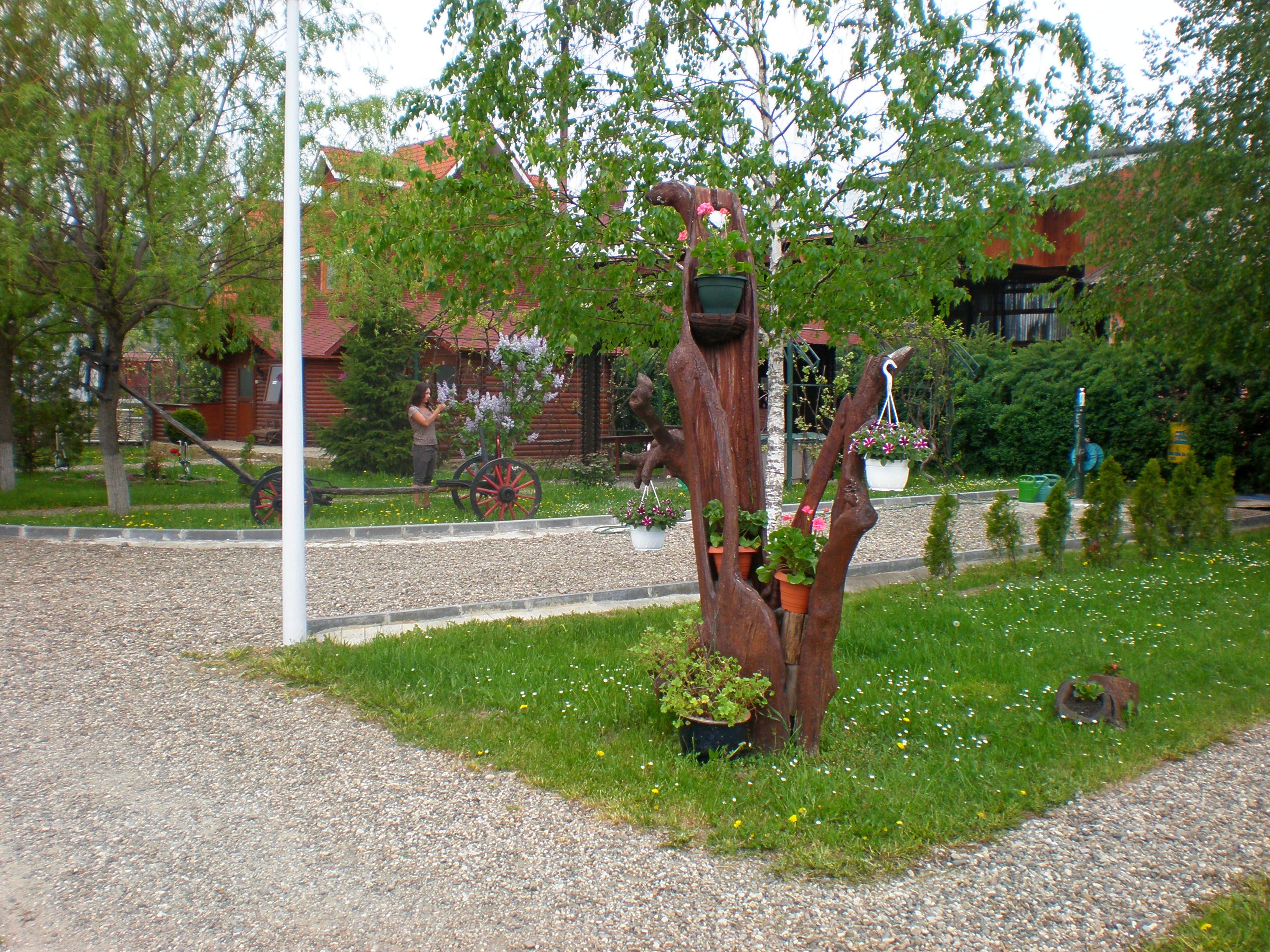 Camping Trotus Valley