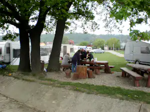 Camping Trotus Valley