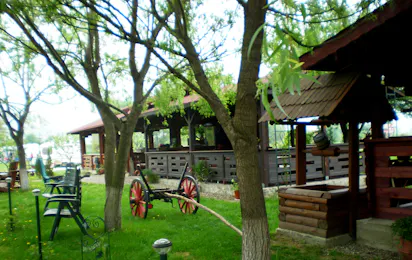 Camping Trotus Valley