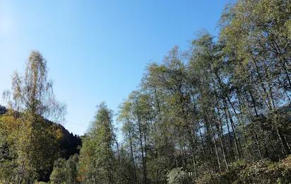 Camping Trun