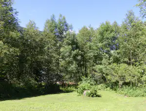 Camping Trun - Zeltwiese hinterm Badehaus auf dem Campingplatz