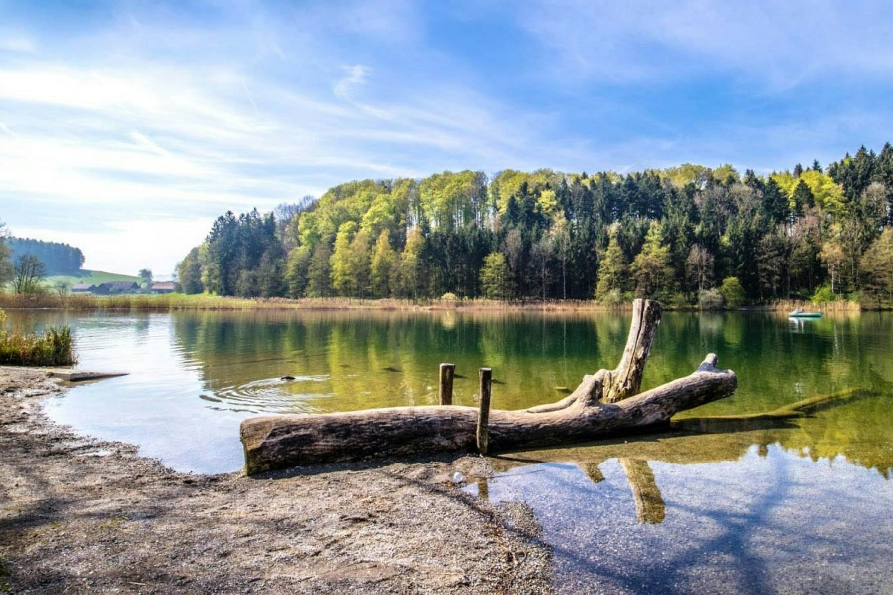 Camping Türlersee  - Campingplatz am Türlersee