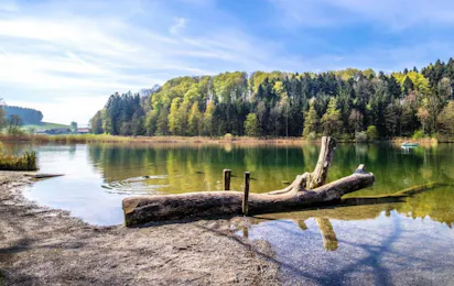 Camping Türlersee