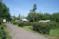 Camping Tuinenburg  - Gehweg auf dem Campingplatz