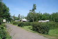 Camping Tuinenburg  - Gehweg auf dem Campingplatz