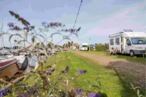 Camping Drijfveer - Standplätze auf dem Campingplatz