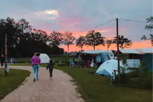 Camping Tussen de Ackers - Standplätze auf dem Campingplatz