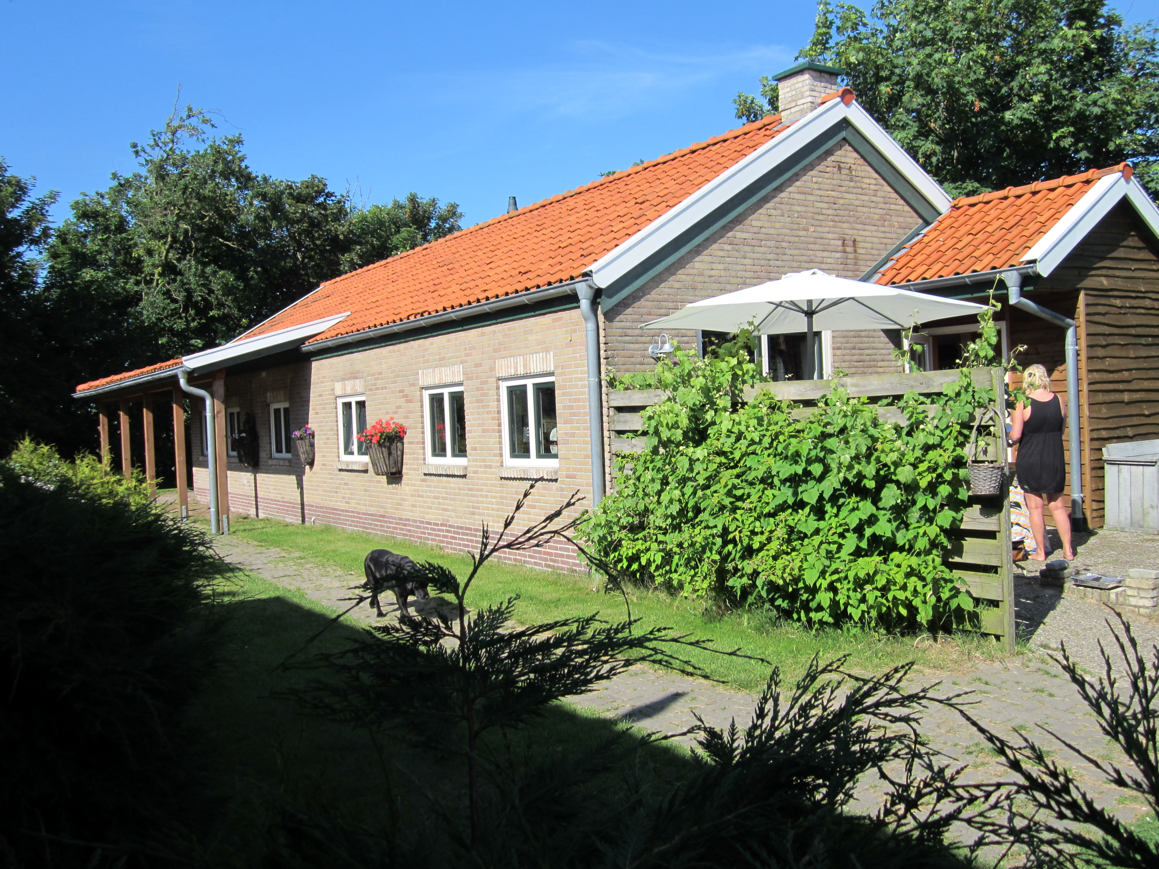 Camping Tussen wad en strand