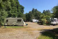 Camping Twenty Shilling Wood Wohnwagenstellplätze im Grünen auf dem Campingplatz
