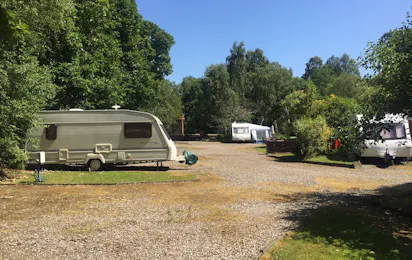 Camping Twenty Shilling Wood