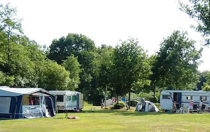 Camping 't Wittezand