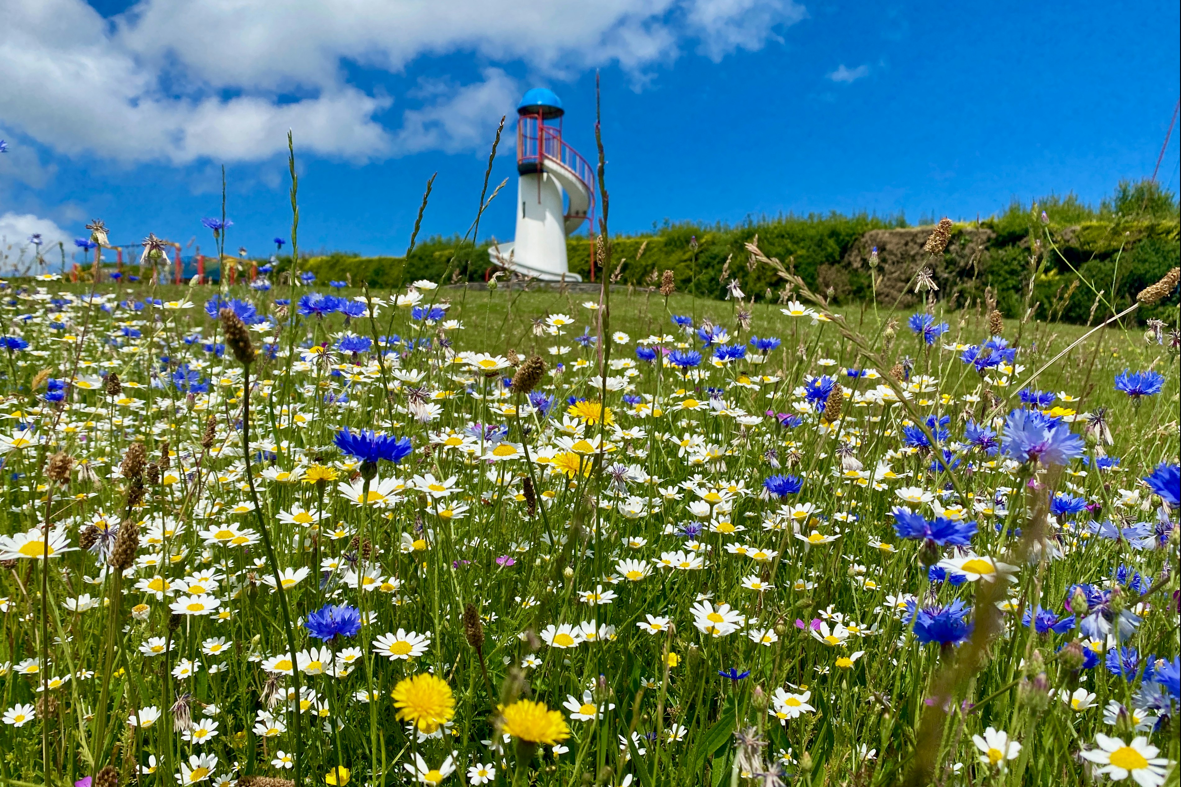 Tyddyn Isaf Caravan Park - Spielwiese und Leuchtturmrutsche für Kinder