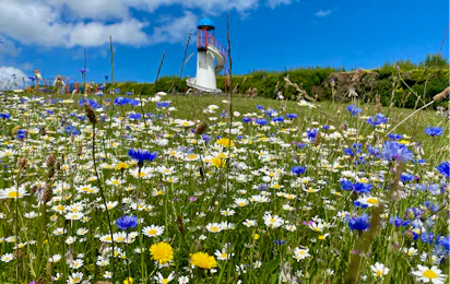Tyddyn Isaf Caravan Park