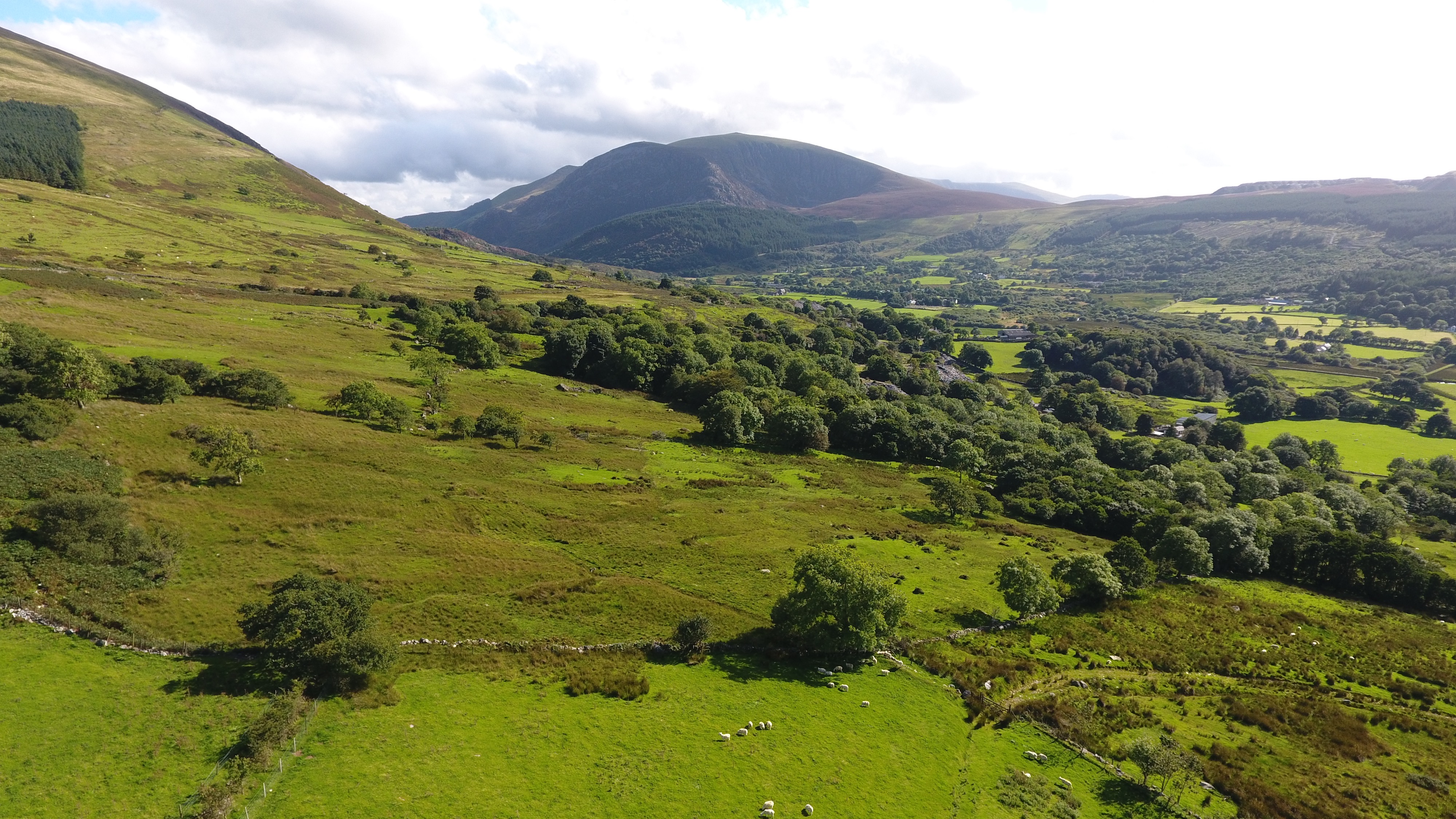 Camping Ty'n yr Onnen