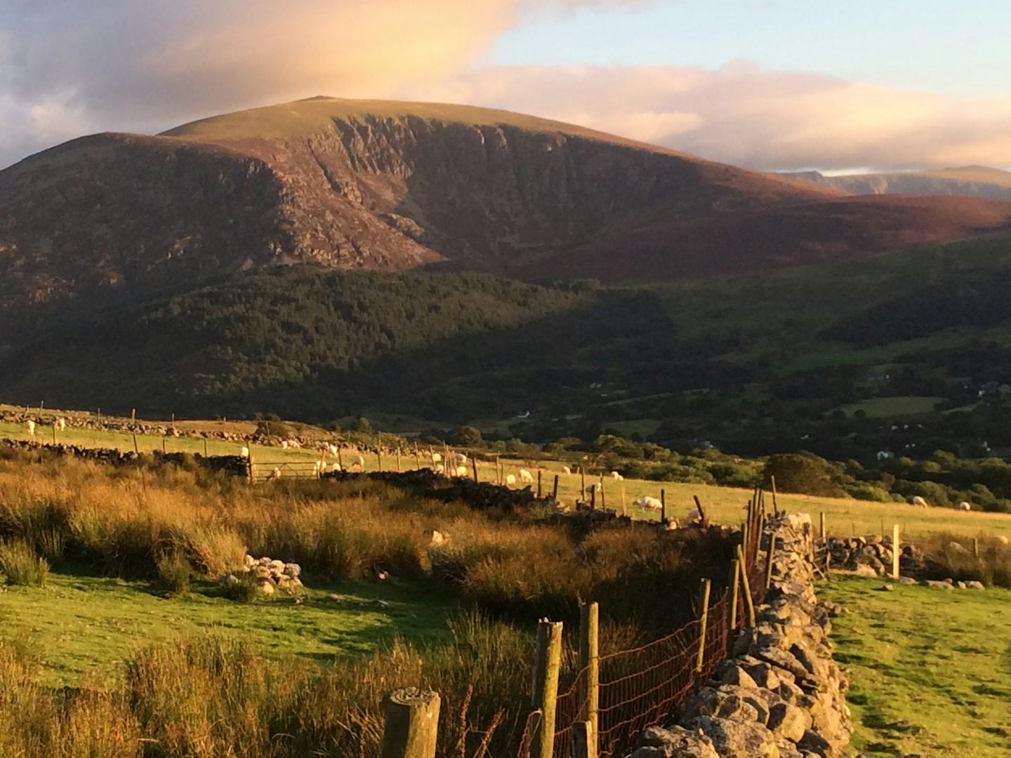 Camping Ty'n yr Onnen