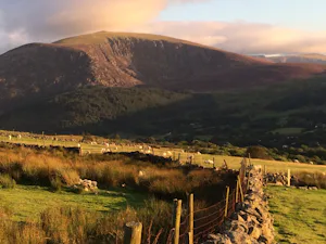 Camping Ty'n yr Onnen