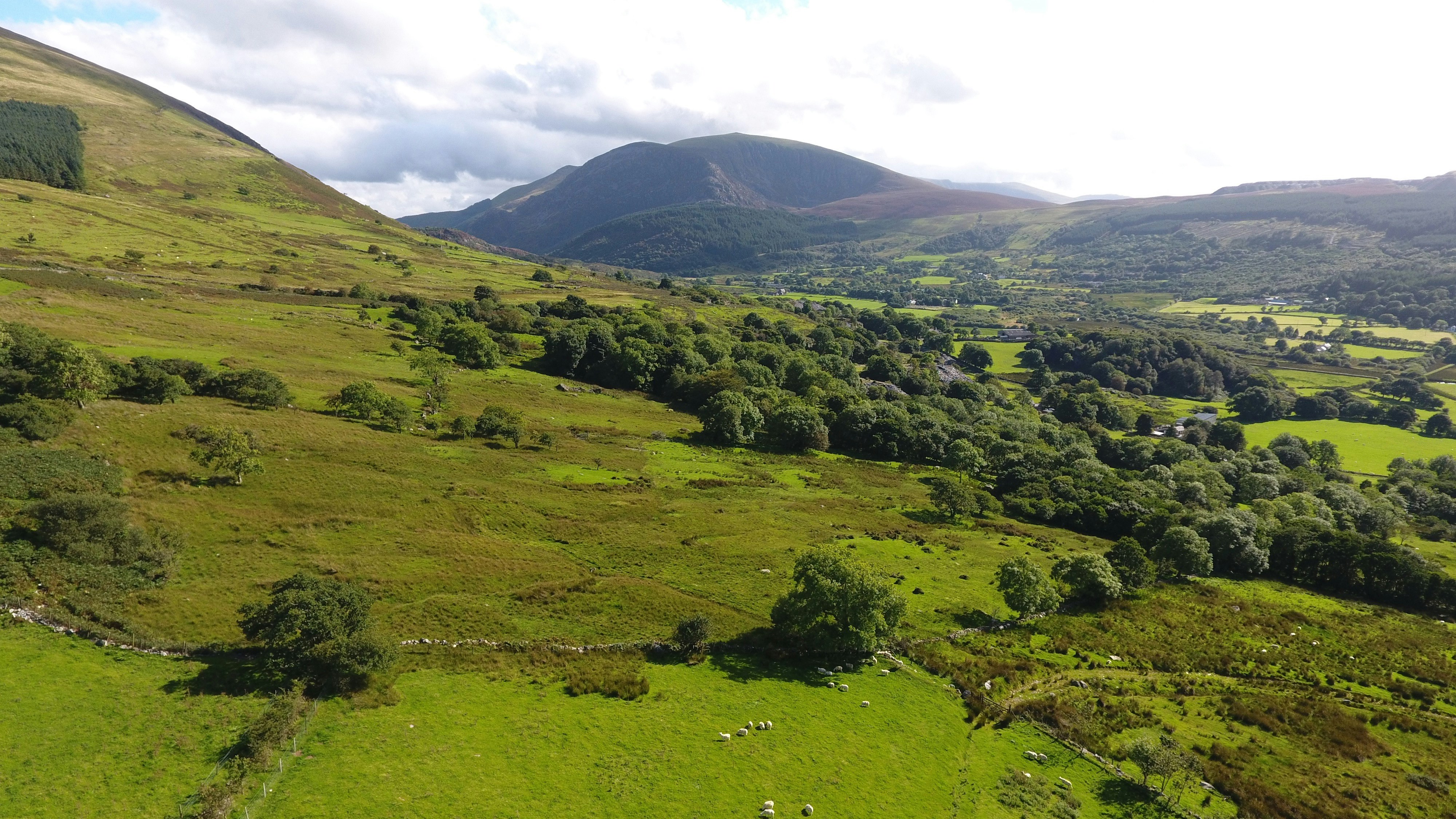Camping Ty'n yr Onnen