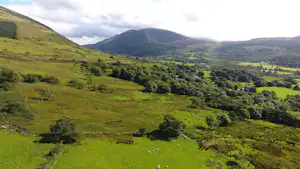Camping Ty'n yr Onnen
