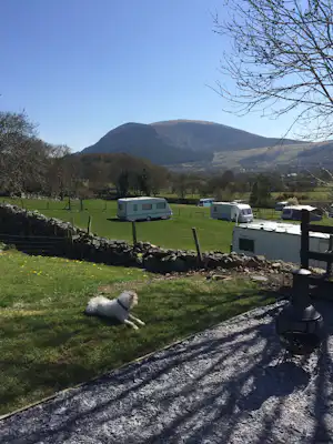 Wohnwagen auf einer Campingwiese, im Hintergrund ein Berg und mehrere Bäume, im Vordergrund ein Hund auf dem Gras.
