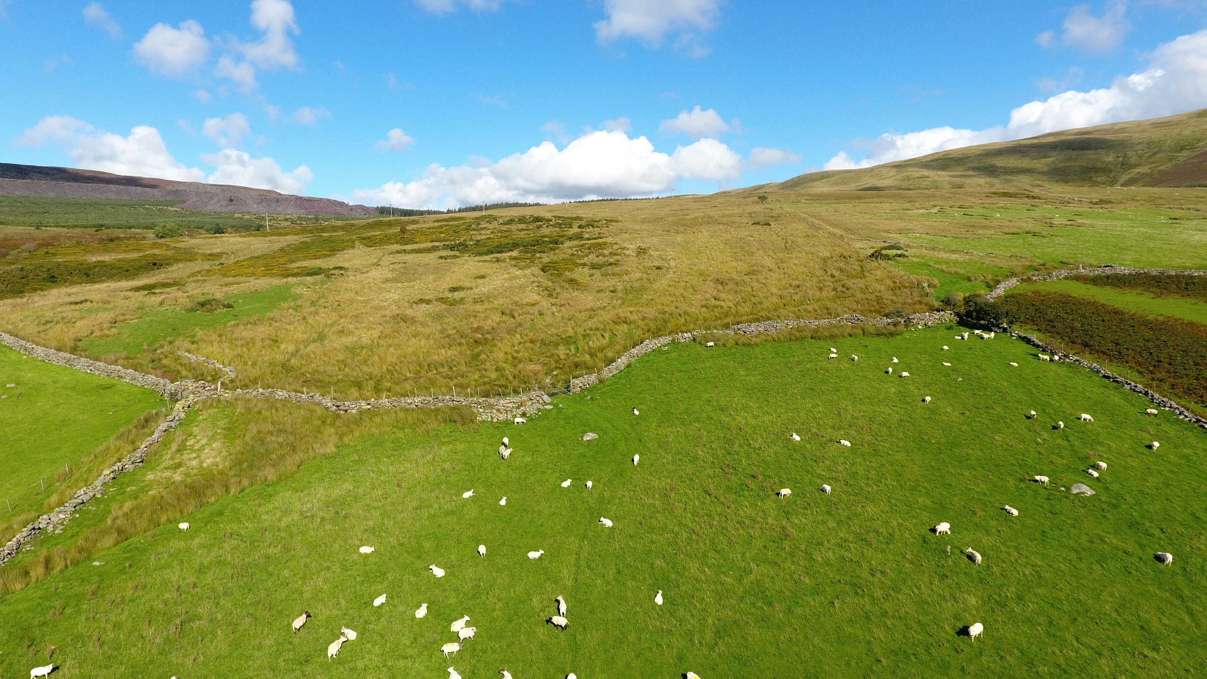 Camping Ty'n yr Onnen