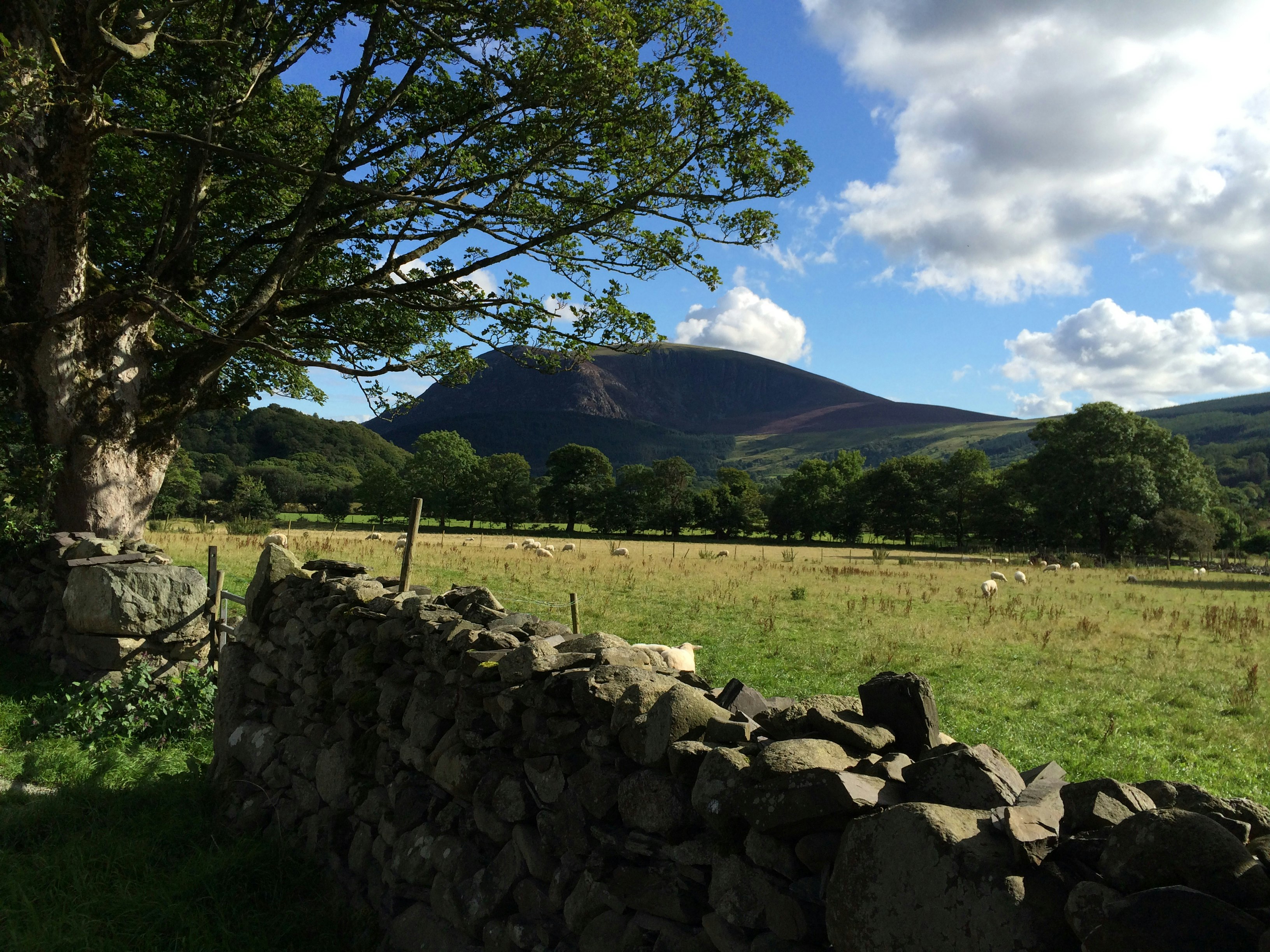 Camping Ty'n yr Onnen