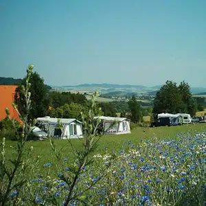 Zelte und Wohnwagen auf einer grünen Wiese, im Hintergrund Bäume und Hügel mit blauem Himmel.