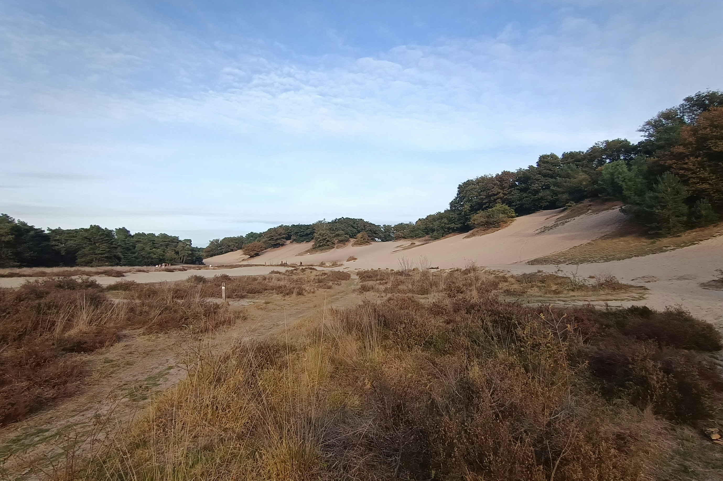Camping Uden Maashorst  Camperplaats Uden Maashorst - Blick auf die Landschaft in der Umgebung des Campingplatzes