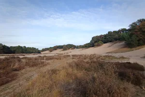 Camping Uden Maashorst Camperplaats Uden Maashorst - Blick auf die Landschaft in der Umgebung des Campingplatzes