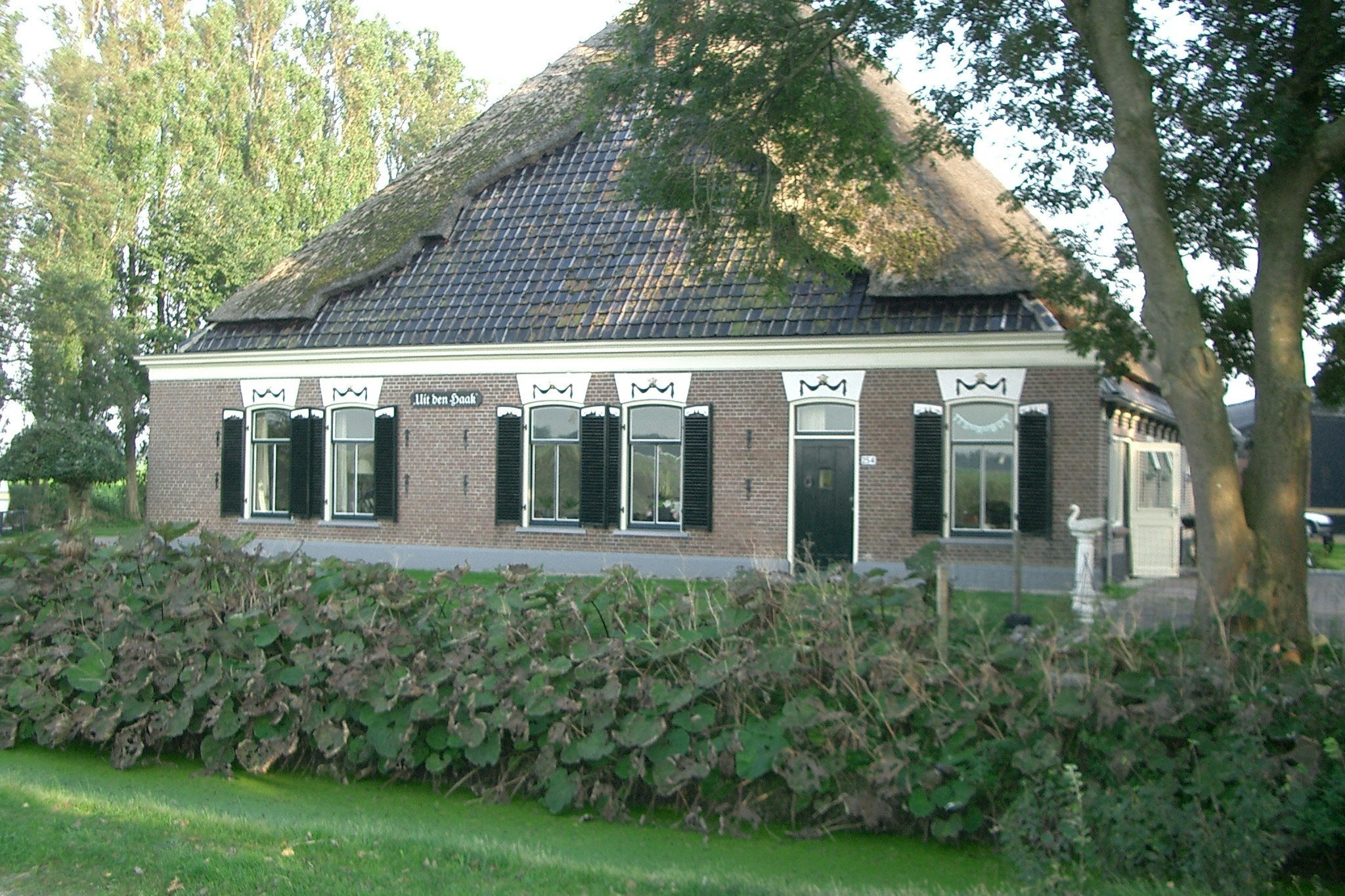 Ziegelhaus mit Reetdach und großen Fenstern, davor Rasen und Hecke, im Hintergrund Bäume.