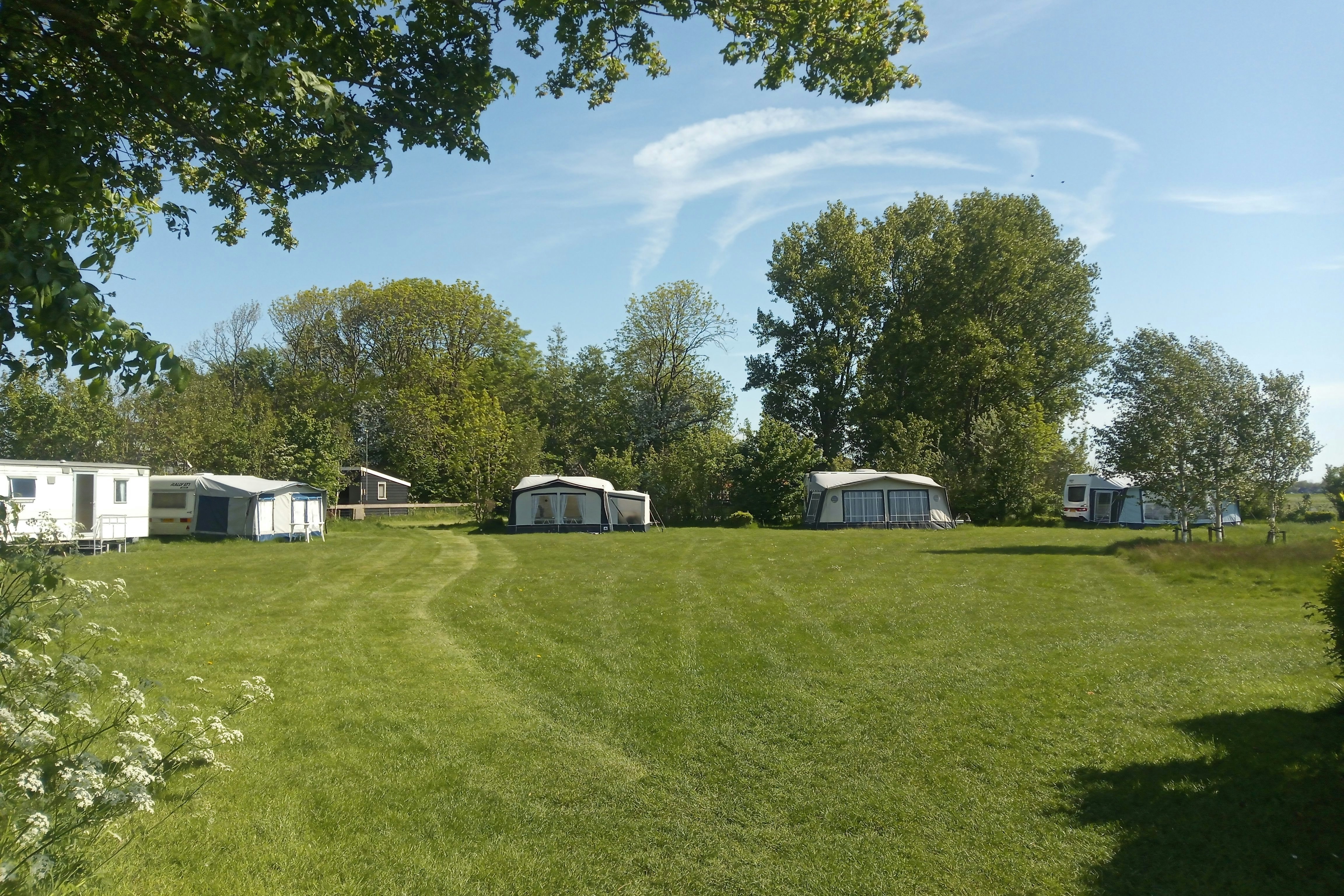 Grüner Campingplatz mit Rasenweg, mehreren Wohnwagen und Mobilheimen, umgeben von Bäumen und einem weißen Gebäude im Hintergrund.