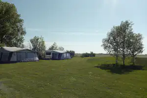 Campingzelte und Wohnwagen auf einer grünen Wiese, mit Bäumen und freiem Blick in die Landschaft.