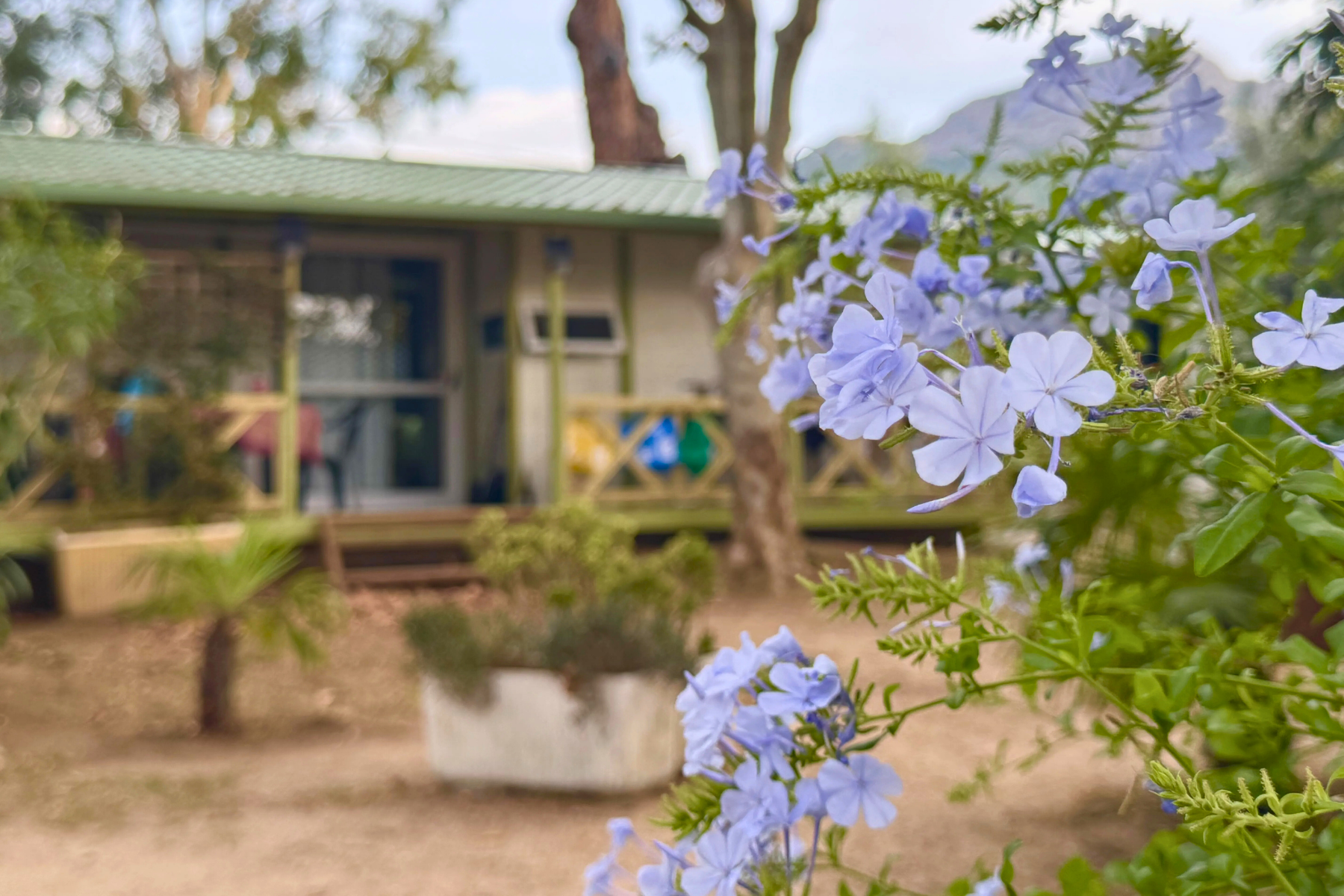 Camping ULVF – U Libecciu - Blumen vor einem Mobilheim