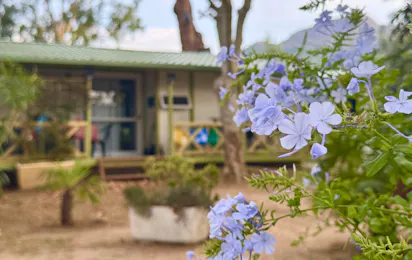 Camping ULVF – U Libecciu