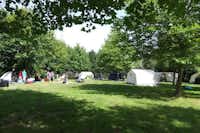 Camping und Erholungspark Nord-Elm  -  Camper auf dem Zeltplatz vom Campingplatz auf grüner Wiese