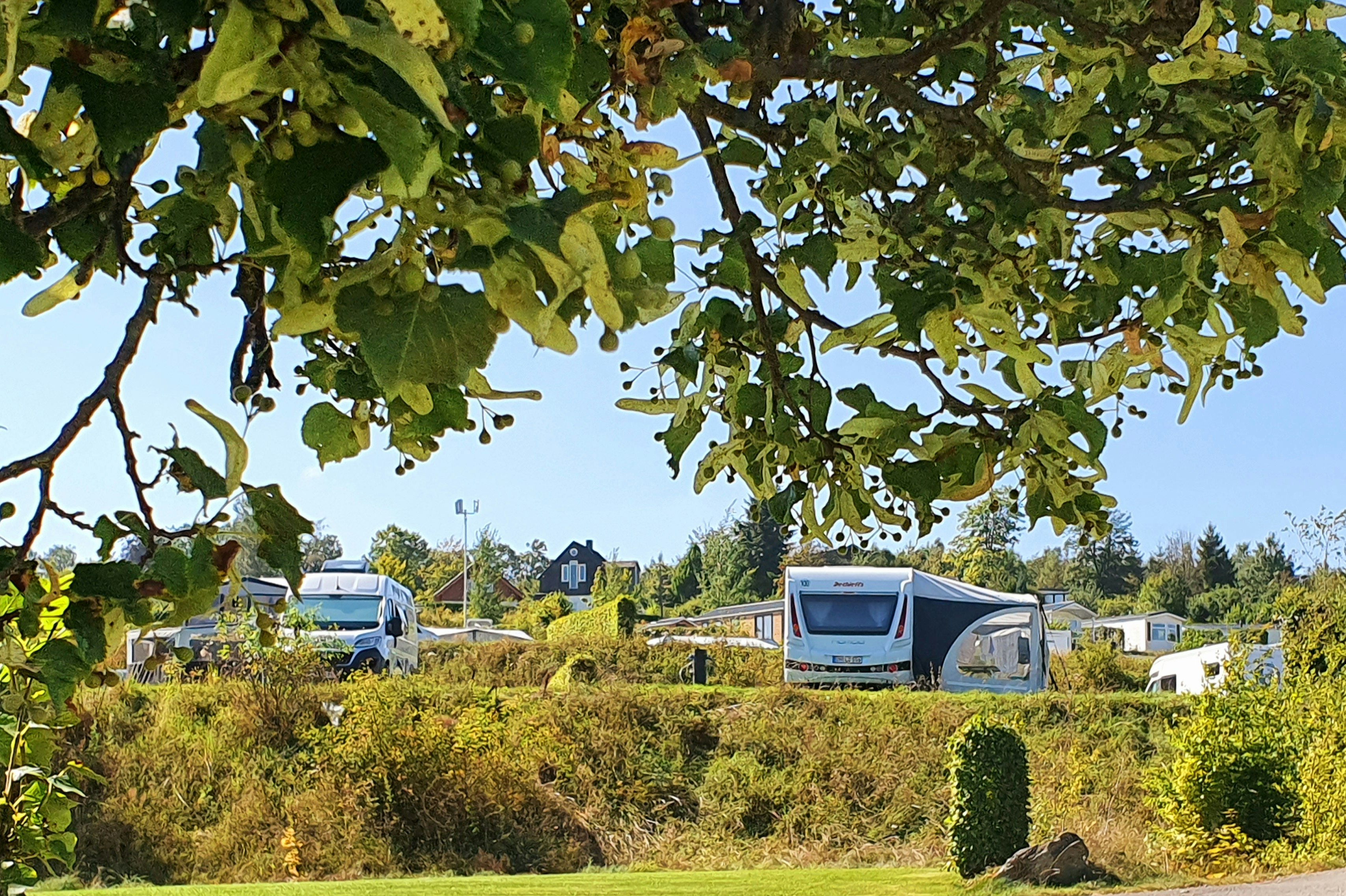 Camping und Ferienpark Brilon - Standplätze auf dem Campingplatz
