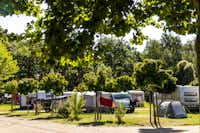 Camping- und Ferienpark Markgrafenheide  -  Wohnwagen- und Zeltstellplatz vom Campingplatz im Grünen