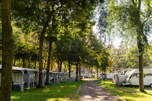 Camping- und Ferienpark Markgrafenheide - Standplätze zwischen den Bäumen auf dem Campingplatz