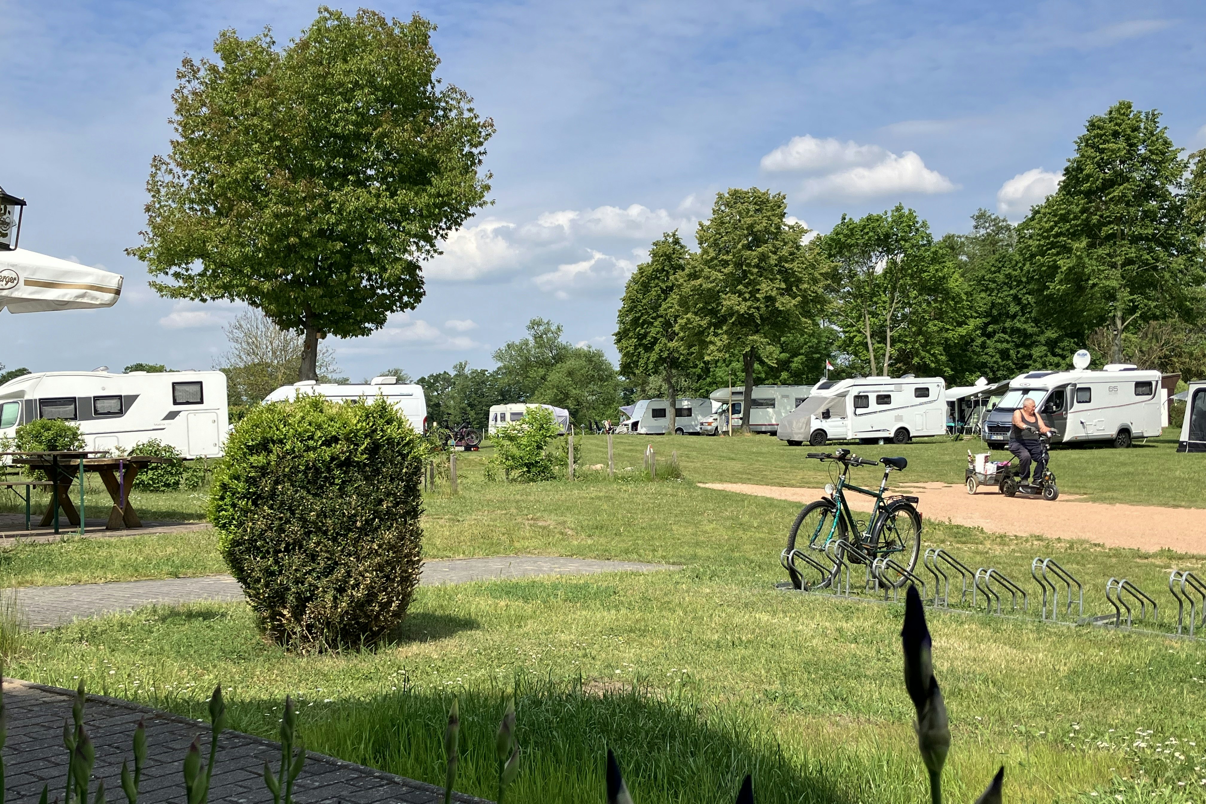 Seecamp am Oderbruch - Standplätze auf dem Campingplatz