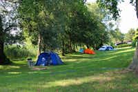 Seecamp am Oderbruch  Camping- und Ferienpark Oderbruch  - Zeltwiese