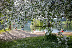 Camping- und Ferienpark Teichmann - Camper am Ufer des Teichs vom Campingplatz