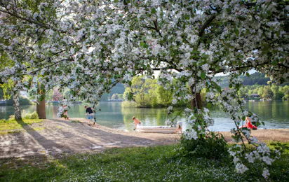 Camping- und Ferienpark Teichmann