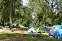 Camping- und Reisemobilpark Treviris - Zeltwiese unter Bäumen auf dem Campingplatz in Trier an der Mosel