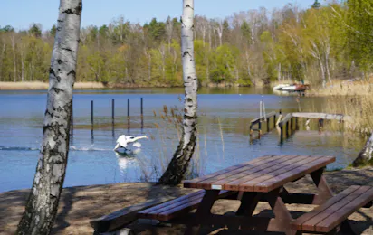 Bergwitzsee Resort