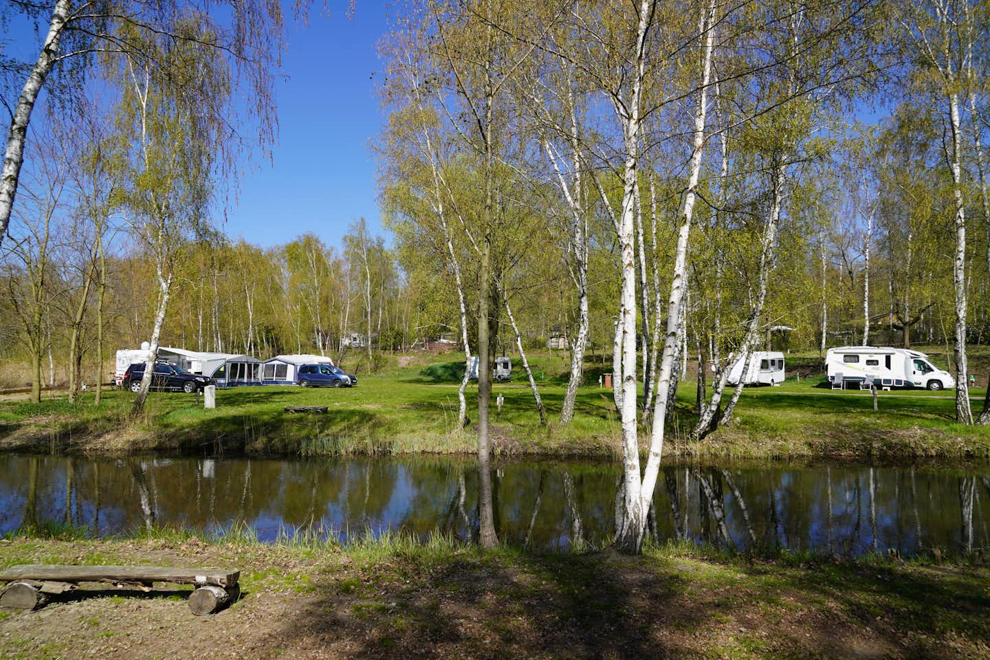 Ferienresort Bergwitzsee  -  Stellplatz vom Campingplatz am Ufer vom See