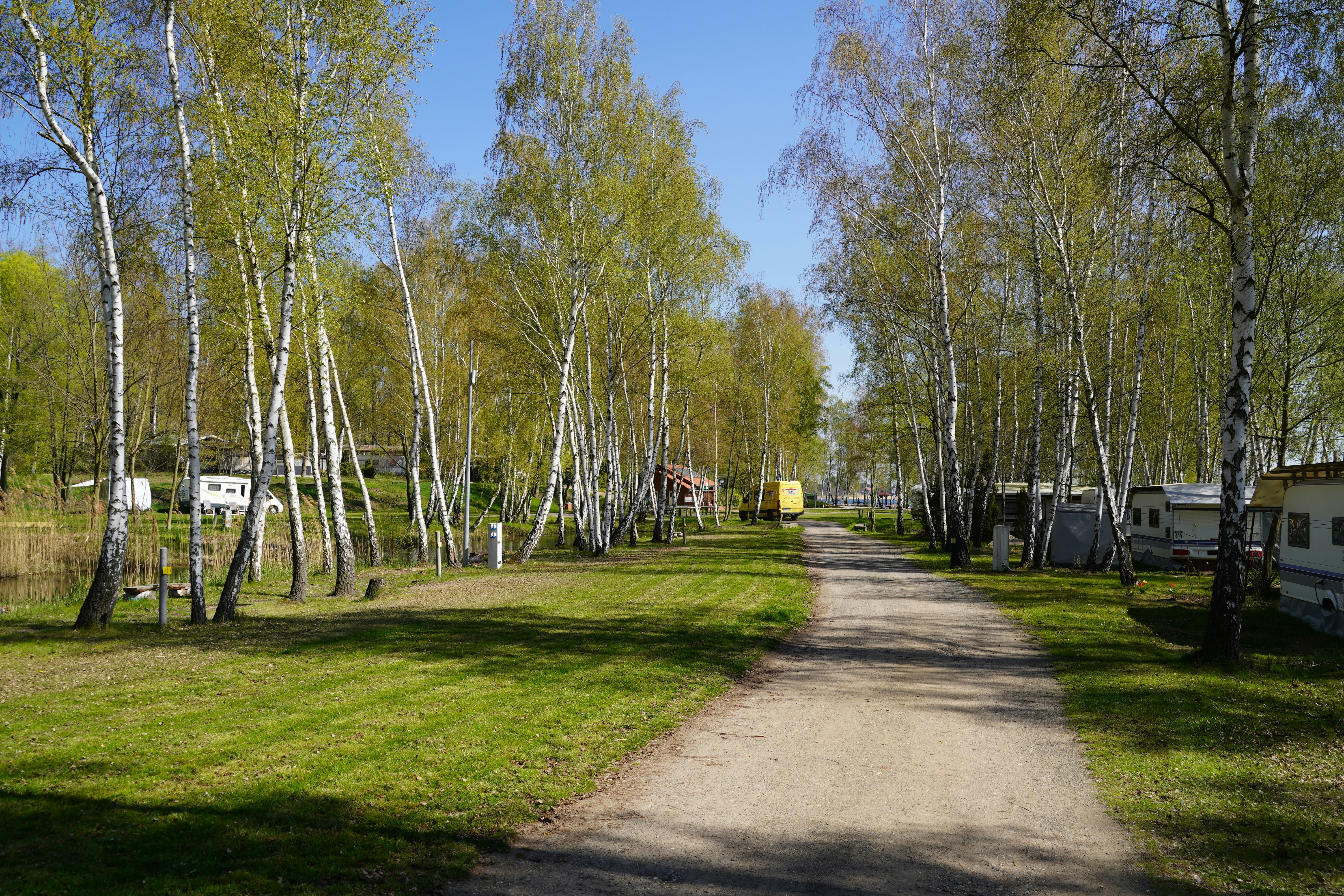Campingweg zwischen Birken, Rasenflächen und Stellplätzen mit Wohnwagen, entlang einer geraden Kiesstraße.