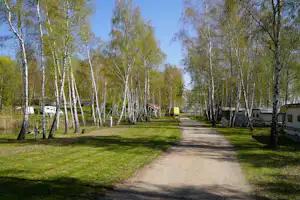 Campingweg zwischen Birken, Rasenflächen und Stellplätzen mit Wohnwagen, entlang einer geraden Kiesstraße.